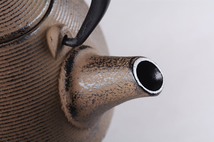 Japanese Cast Iron Teapot for Brewing Pu-erh Tea