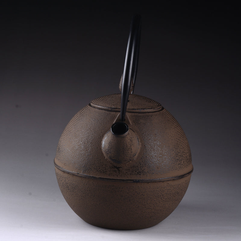 Japanese Cast Iron Teapot for Brewing Pu-erh Tea