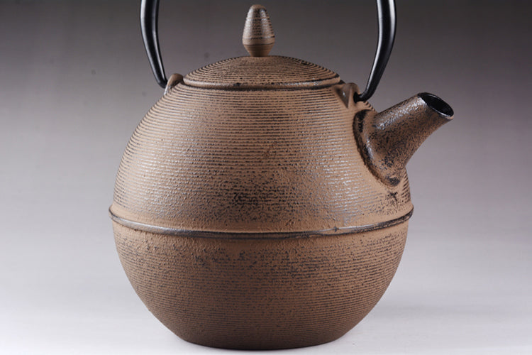 Japanese Cast Iron Teapot for Brewing Pu-erh Tea