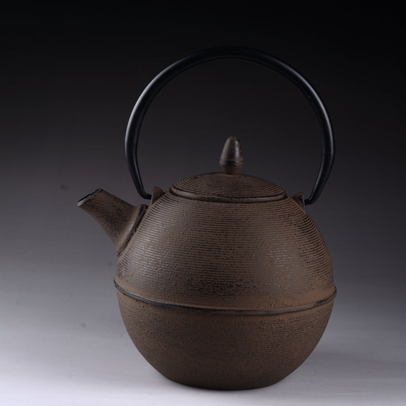Japanese Cast Iron Teapot for Brewing Pu-erh Tea