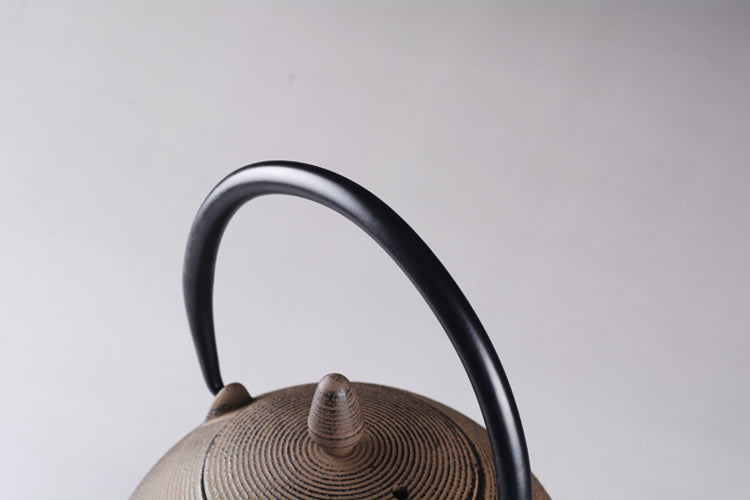 Japanese Cast Iron Teapot for Brewing Pu-erh Tea