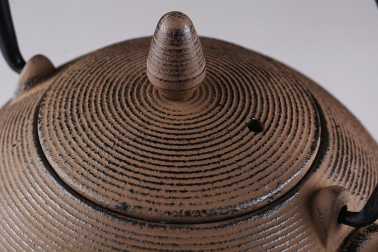Japanese Cast Iron Teapot for Brewing Pu-erh Tea