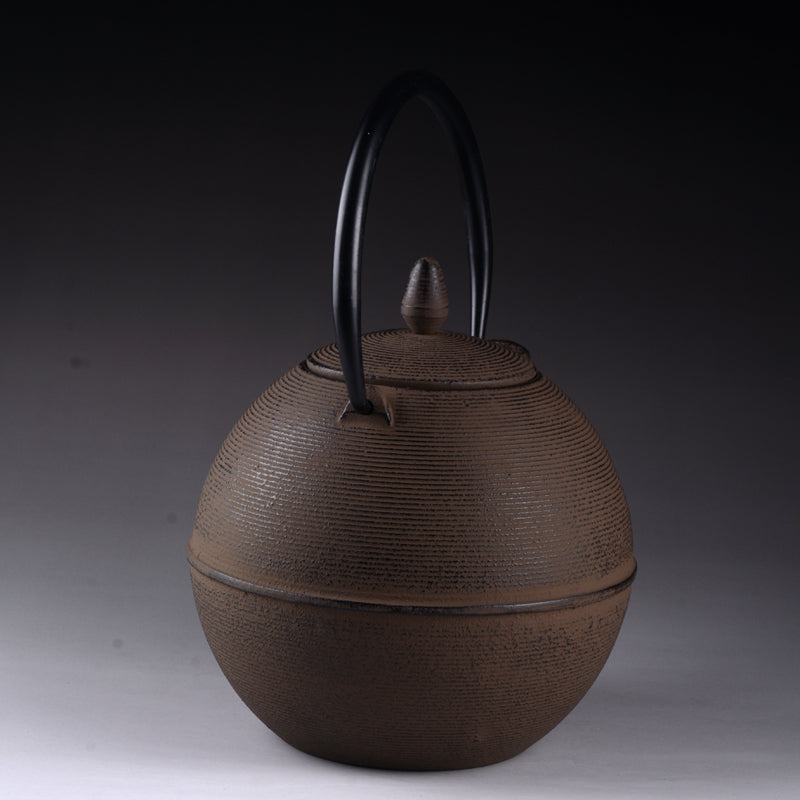 Japanese Cast Iron Teapot for Brewing Pu-erh Tea