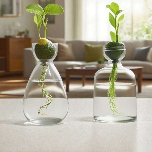Creative Seed Glass Vase Home Desktop Decoration Hydroponic Ornament Gardening Lovers 26L0115