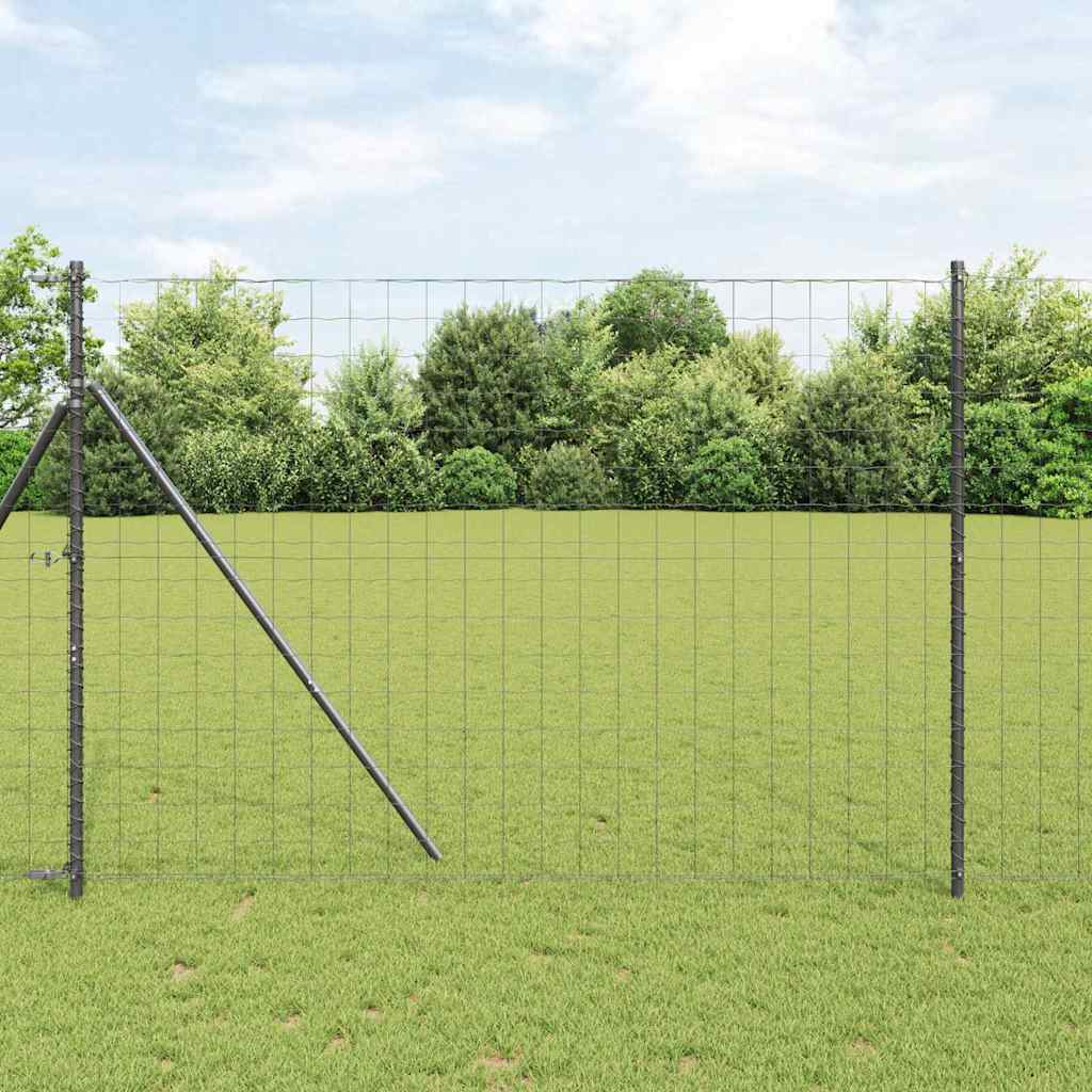 Euro Fence 5.25 x 32.81 ft PVC-coated iron Grey