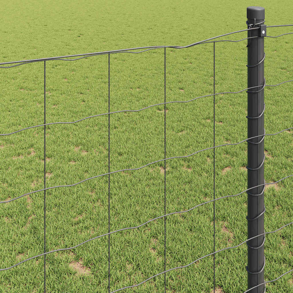 Euro Fence 5.25 x 32.81 ft PVC-coated iron Grey - Image 4