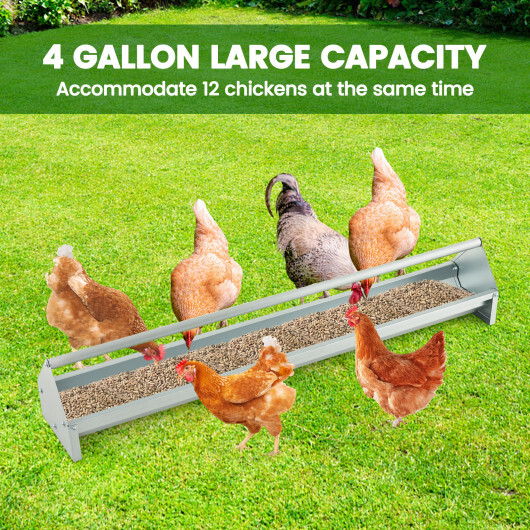 Metal Chicken Feeder Chicken Feeding Trough with Drainage Holes-Silver - Image 2