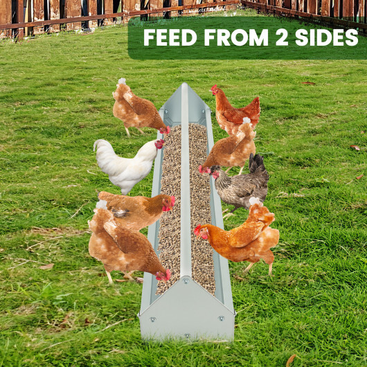 Metal Chicken Feeder Chicken Feeding Trough with Drainage Holes-Silver - Image 3