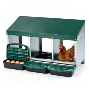3-Compartment Roll Away Metal Chicken Nesting Box for Hens-Green