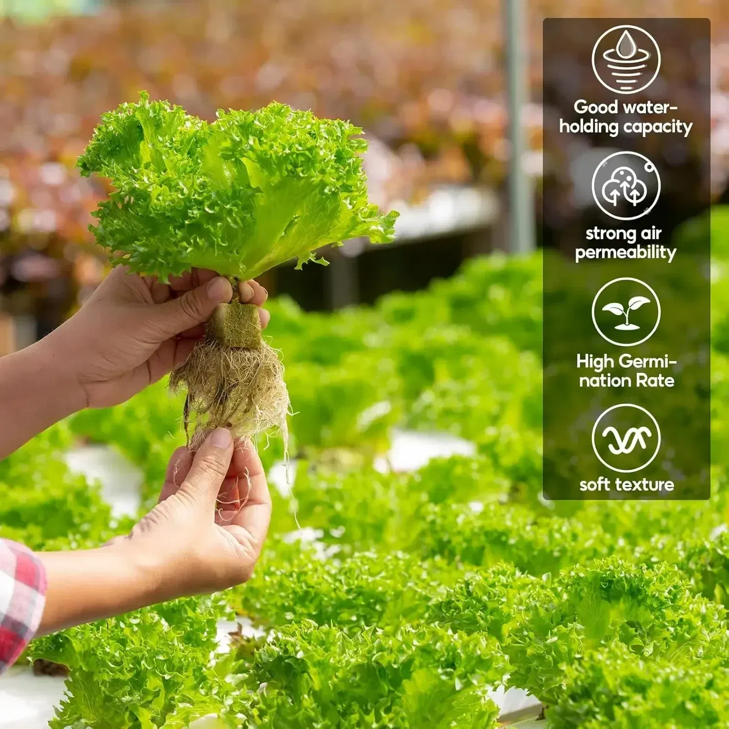Color: Burgundy - Stonewool Hydroponic Grow Media Cubes Plant Cube Soilless Substrate Seeded Planting Spong Plug Seedling Block Garden Tools - Image 6