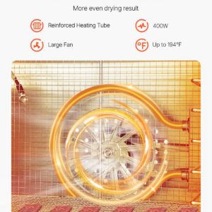 Food Dehydrator Machine, 6 Stainless Steel Trays, 400W Electric Food Dryer with Adjustable Temperature & 24-Hour Timer, Freeze Dryer for Jerky, Meat, Fruit, Vegetables, Herbs, Dog Treats
