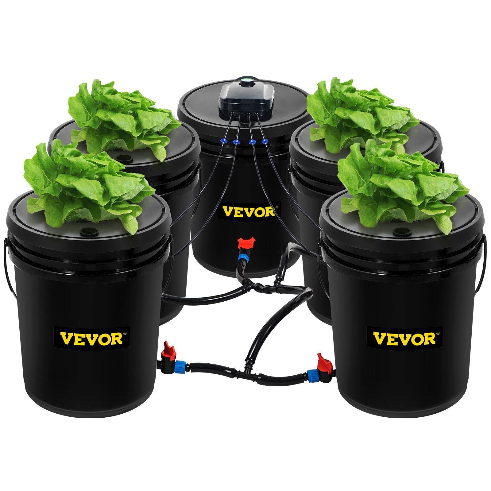 DWC Hydroponic System, 5 Gallon 5 Buckets, Deep Water Culture Growing Bucket, Hydroponics Grow Kit with Pump, Air Stone and Connected Reservoir, for Indoor/Outdoor Leafy Vegetables