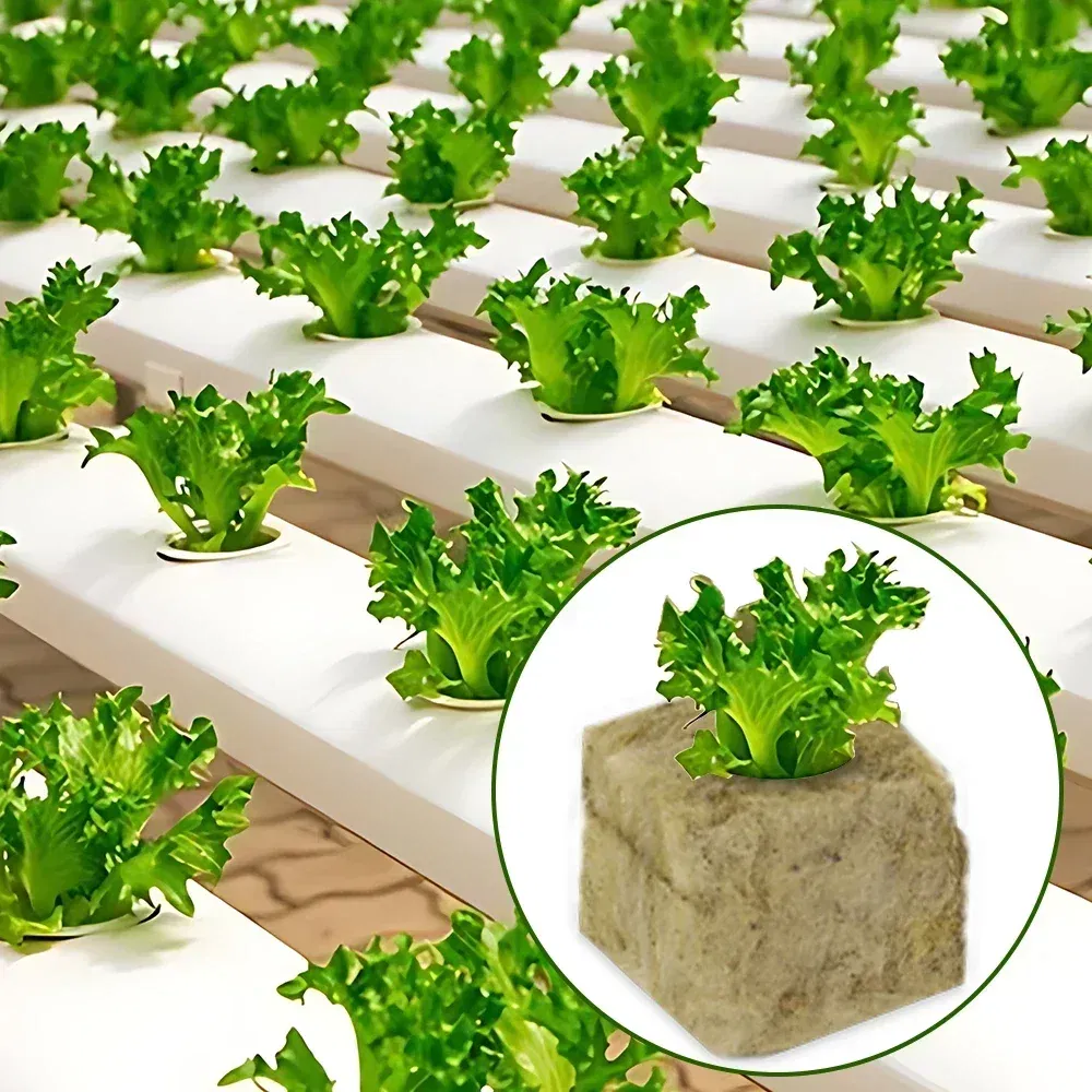 Color: Burgundy - Stonewool Hydroponic Grow Media Cubes Plant Cube Soilless Substrate Seeded Planting Spong Plug Seedling Block Garden Tools - Image 4