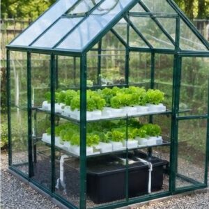 Greenhouses & Hydroponics